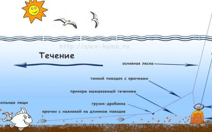 Ловля леща на кольцо