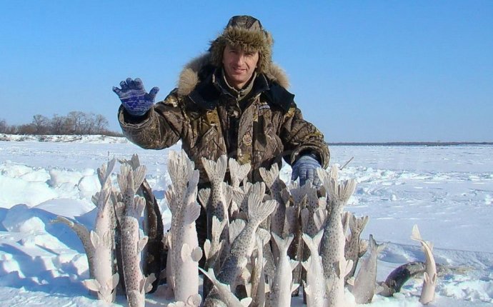 Рыбак с замёрзшими щуками