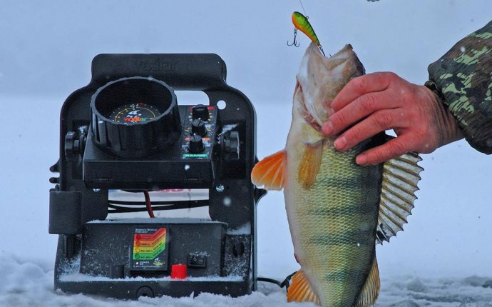 Эхолоты для Зимней Рыбалки