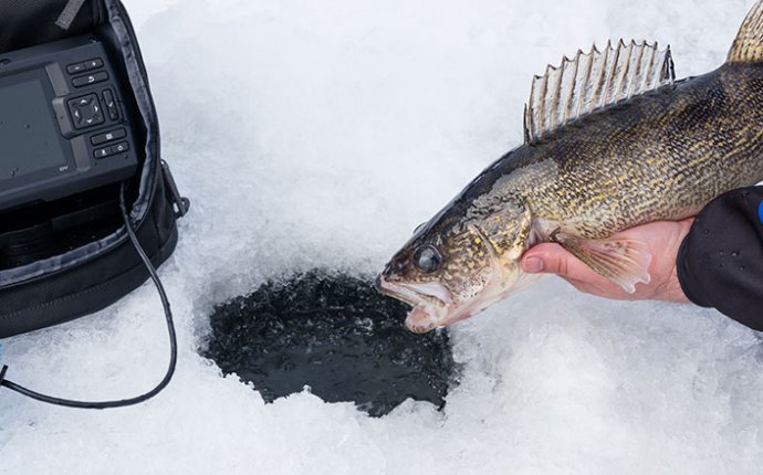 Лучший Эхолот для Зимней Рыбалки