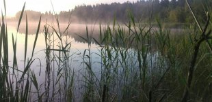 Где находится карп в летний период