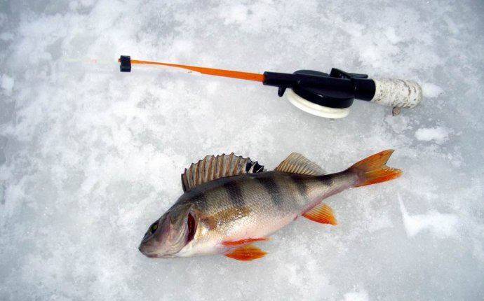 Зимняя Рыбалка на Поплавок