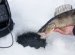 Лучший Эхолот для Зимней Рыбалки