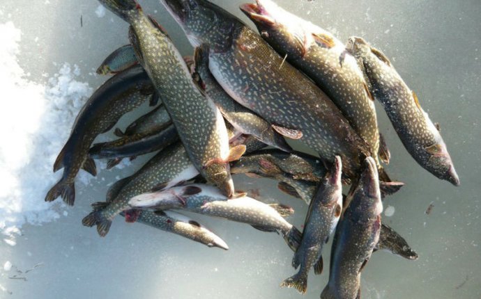 Зимняя Рыбалка в Астрахани