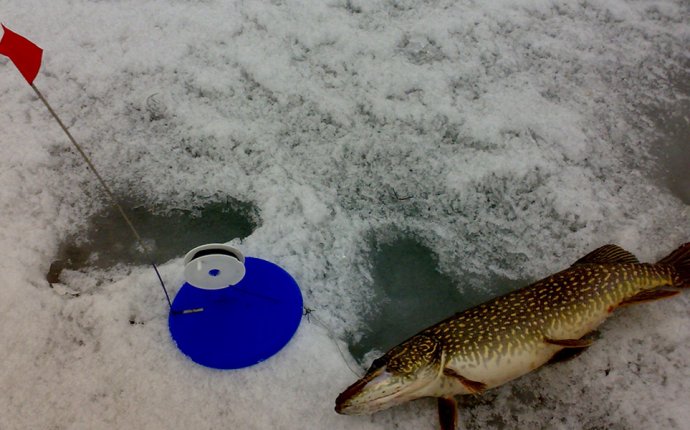 Зимняя Рыбалка на Щуку