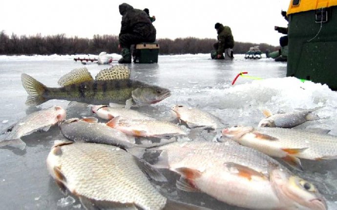 Рыбалка в Ленинградской Области